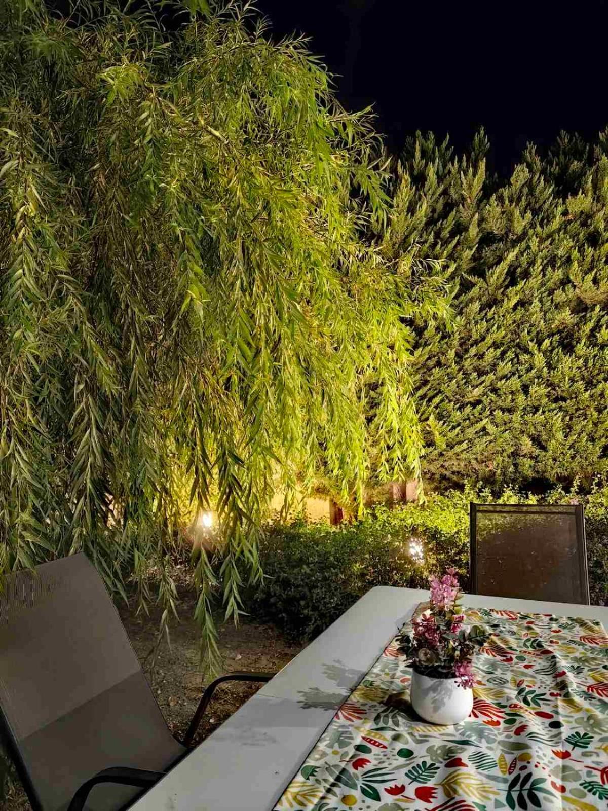Villa Katerina เอียลิซอส ภายนอก รูปภาพ